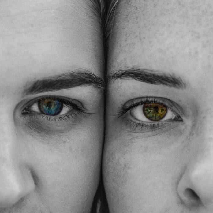 two people's eye close-up photography