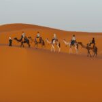 a group of people riding camels across a desert